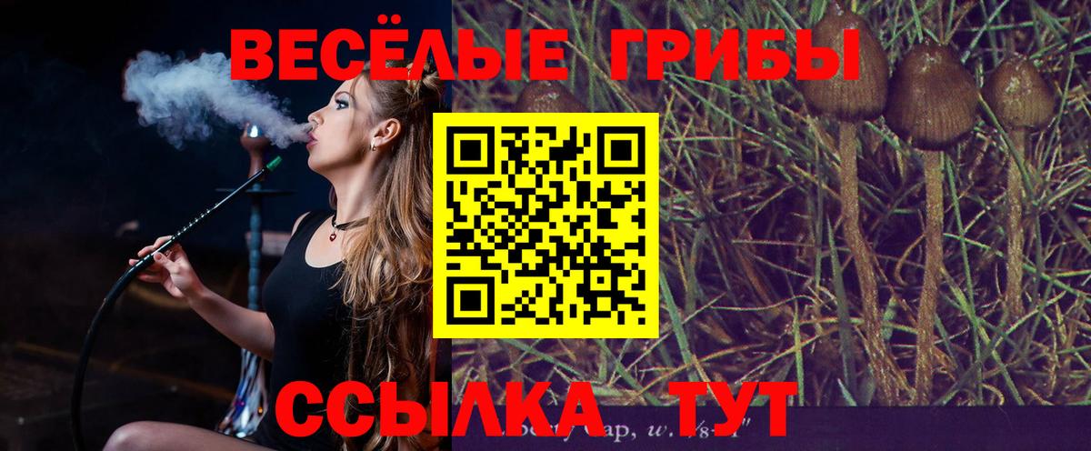 Псилоцибиновые грибы ЛСД Лянтор