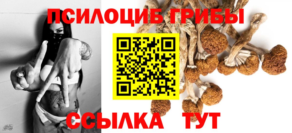 Лянтор  Псилоцибиновые грибы Cubensis  Псилоцибиновые грибы GOLDEN TEACHER  Вход с VPN 